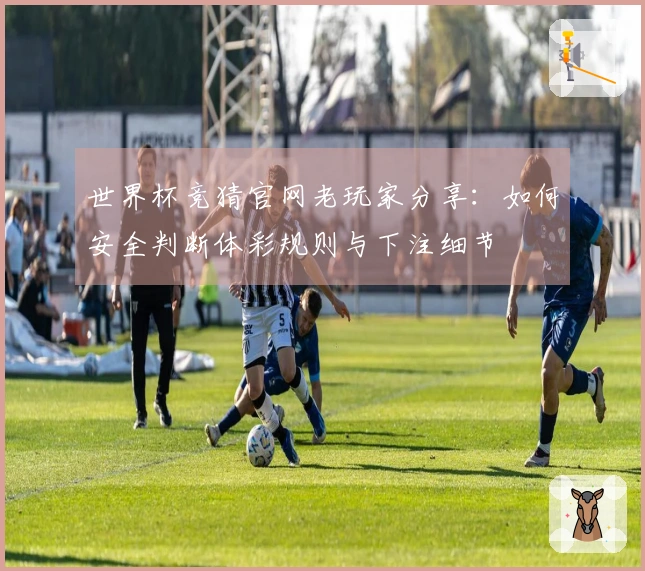 世界杯竞猜官网老玩家分享：如何安全判断体彩规则与下注细节