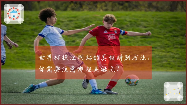 世界杯投注网站的真假辨别方法，你需要注意哪些关键点？