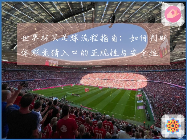 世界杯买足球流程指南：如何判断体彩竞猜入口的正规性与安全性