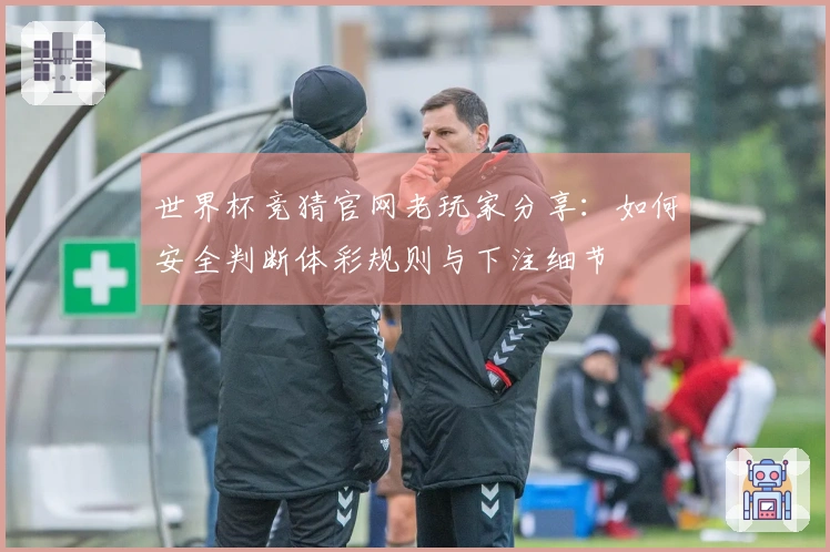 世界杯竞猜官网老玩家分享：如何安全判断体彩规则与下注细节