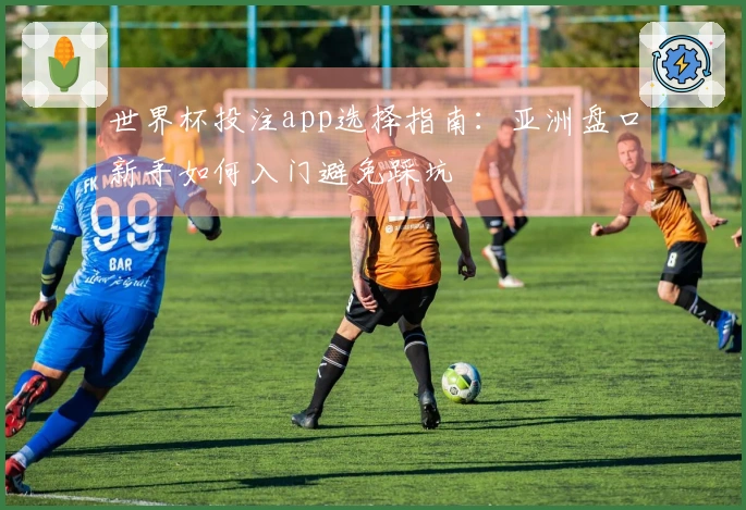 世界杯投注app选择指南：亚洲盘口新手如何入门避免踩坑