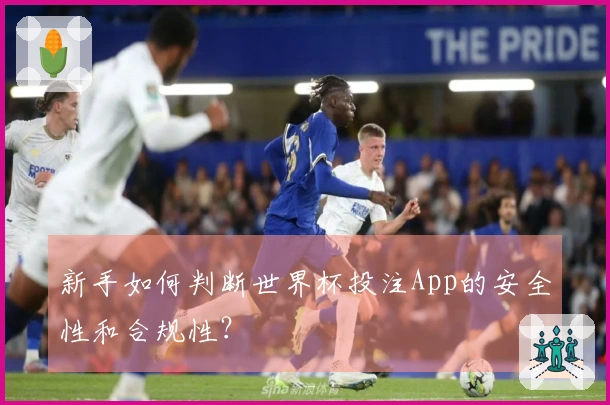 新手如何判断世界杯投注App的安全性和合规性？
